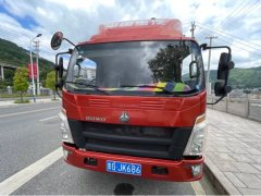 SINOTRUK HOWO Light Duty Truck Royal Faction 160 hp 4X2 3.85 m - фото 2
