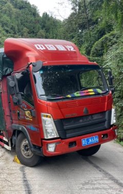 SINOTRUK HOWO Light Duty Truck Royal Faction 160 hp 4X2 3.85 m - фото 3