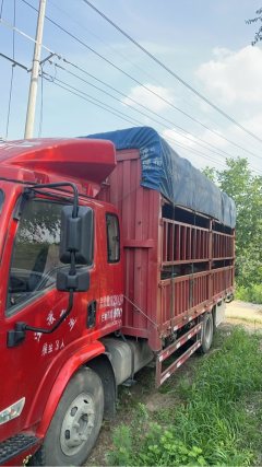 Shacman Delong K3000 160 hp 4X2 4.85 m - фото 2