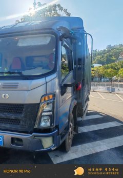 SINOTRUK HOWO Light Duty Truck Commander 160 hp 4X2 4.15 m - фото 2