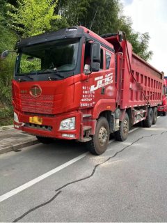FAW Jiefang JH6 375 hp 8X4 7.6 m - фото 1