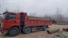 Dayun 220 hp 6X2 6.8 m - фото 5