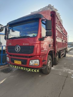 Shacman Delong L3000 245 hp 6X2 7.9 m - фото 1