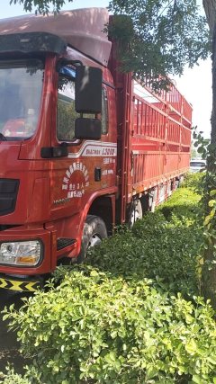 Shacman Delong L3000 245 hp 6X2 7.9 m - фото 3