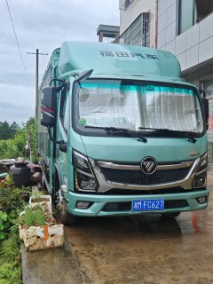 Foton Ollin Express 158 hp 4X2 4.17 m - фото 3