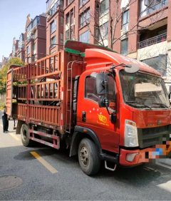 SINOTRUK HOWO Light Duty Truck Hanjiang 170 hp 4X2 4.15 m - фото 2