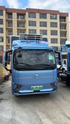 Lanqing H - фото 3