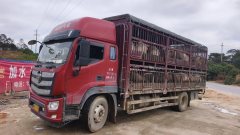 Foton R 200 hp 4X2 5.25 m - фото 3