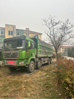 Shacman Delong X3000 430 hp 8X4 8 m - фото 1