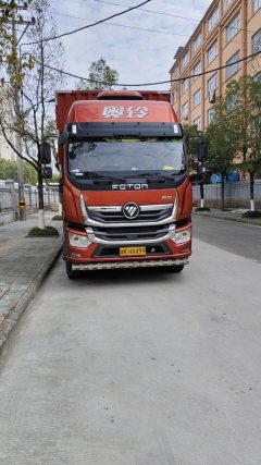 Foton Ollin Hornet 260 hp 4X2 9.78 m - фото 2