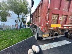 Sinotruk Steyr D5 220 hp 4X2 4.7 m - фото 5