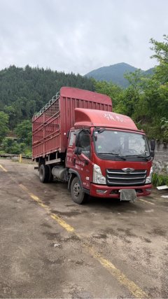Foton Ollin ATV 158 hp 4X2 3.83 m - фото 3
