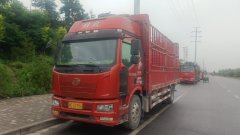 FAW Jiefang J6L 240 hp 4X2 6.75 m - фото 2