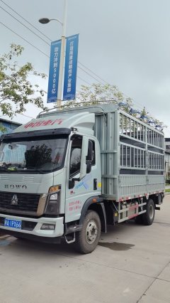 SINOTRUK HOWO Light Duty Truck Commander 190 hp 4X2 - фото 5