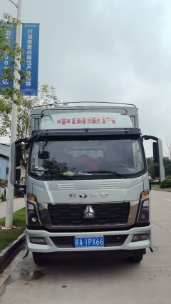 SINOTRUK HOWO Light Duty Truck Commander 190 hp 4X2 - фото 6