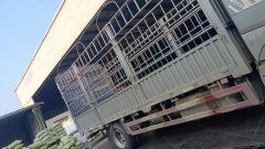 Sinotruk HOWO Max 290 hp 4X2 6.75 m - фото 3