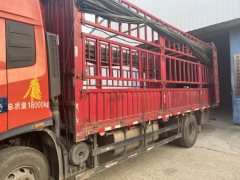 Dongfeng Tianjin KR 245 hp 4X2 6.8 m - фото 4