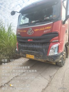 Dongfeng Liuzhou Chenglong H7 460 hp 6X4 6.3 m - фото 2