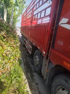 FAW Jiefang JH6 420 hp 8X4 9.5 m - фото 10