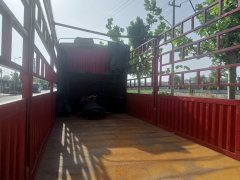 FAW Jiefang JH6 420 hp 8X4 9.5 m - фото 4