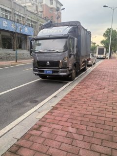 SINOTRUK HOWO Light Duty Truck Commander 180 hp 4X2 3.85 m - фото 1