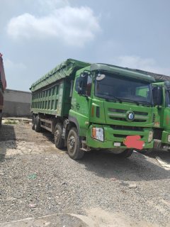 Sinotruk Wangpai W5G 380 hp 8X4 8.6 m - фото 1