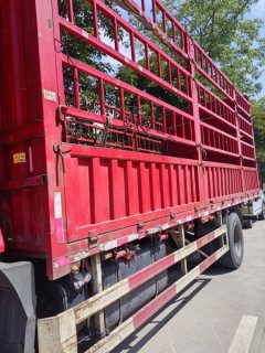 Shacman Delong L5000 240 hp 4X2 6.8 m - фото 3