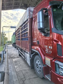 Dongfeng Liuzhou Chenglong H5 270 hp 4X2 6.8 m - фото 3