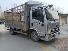 Shacman Delong K3000 140 hp 4X2 4.18 m - фото 3