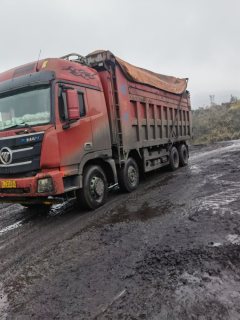 Foton Auman GTL 360 hp 8X4 7.6 m - фото 1