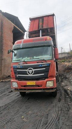 Foton Auman GTL 360 hp 8X4 7.6 m - фото 2