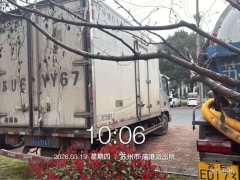 Foton Aumark S1 166 hp 4X2 3.9 m - фото 2