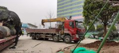 Dongfeng Liuzhou Chenglong H5 350 hp 6X4 5.6 m - фото 3