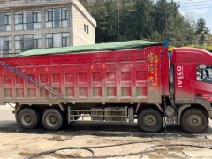 SAIC Hongyan Genlyon 460 hp 8X4 8.3 m - фото 6