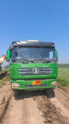 Shacman Delong X3000 550 hp 8X4 8.8 m - фото 3