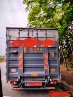 SINOTRUK HOWO Light Duty Truck Commander 160 hp 4X2 4.15 m - фото 3