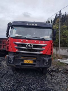 SAIC Hongyan 390 hp 8X4 6.5 m - фото 1