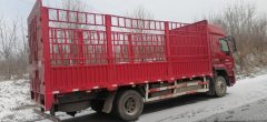 Dongfeng Liuzhou Chenglong H5 240 hp 4X2 6.8 m - фото 3