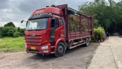 FAW Jiefang J6L 260 hp 4X2 6.8 m - фото 3