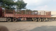 FAW Jiefang JH6 480 hp 6X4 - фото 3