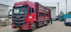 JAC Gallop Gelfa A5 240 hp 4X2 6.8 m - фото 2