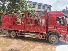 Dongfeng Liuzhou Chenglong H5 270 hp 4X2 6.2 m - фото 3