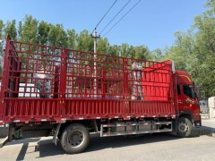FAW Jiefang J6L 240 hp 4X2 6.2 m - фото 4