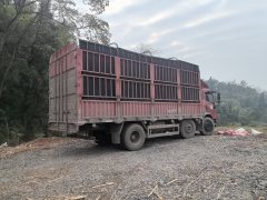 Sinotruk Lion automobile 220 hp 4X2 6.8 m - фото 5
