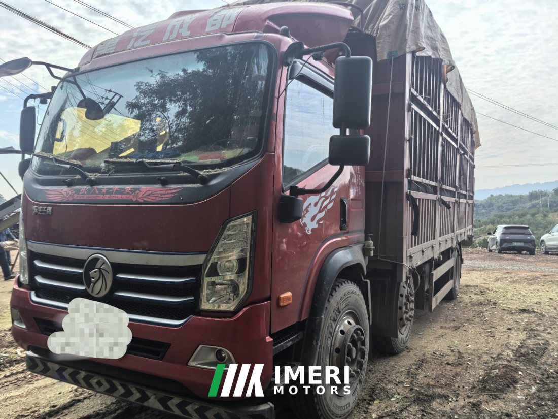 Sinotruk Lion automobile 220 hp 6X2 6.8 m - грузовик из Китая