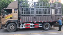Foton Ollin Hornet 260 hp 4X2 5.45 m - фото 2