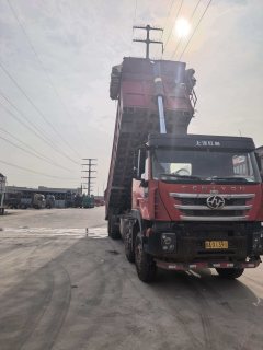 SAIC Hongyan Genlyon 450 hp 8X4 8.8 m - фото 3