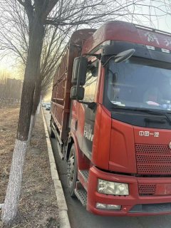 FAW Jiefang J6P 500 hp 6X4 - фото 2