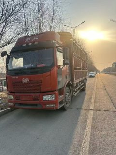 FAW Jiefang J6P 500 hp 6X4 - фото 3
