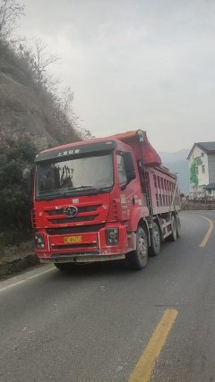 SAIC Hongyan 350 hp 8X4 6.5 m - фото 3